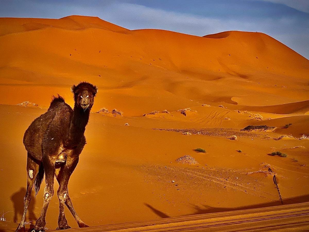 Your Berber Camp Merzouga Luaran gambar