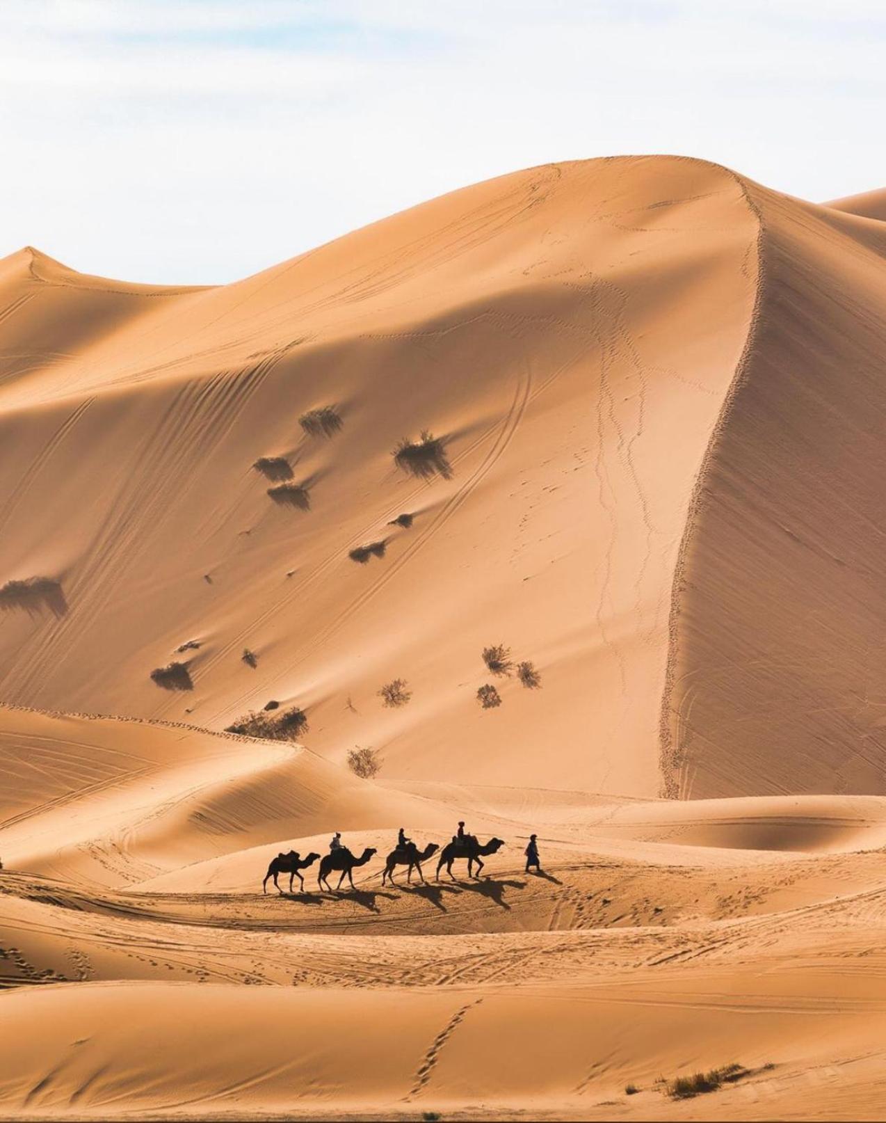 Your Berber Camp Merzouga Luaran gambar